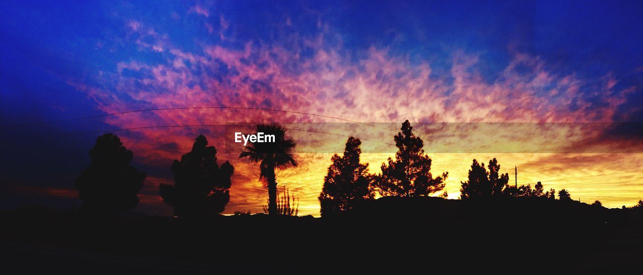 SILHOUETTE OF TREES AGAINST CLOUDY SKY