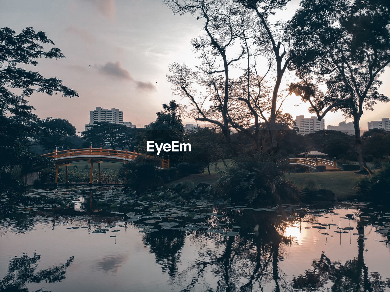 REFLECTION OF TREES AND BUILDINGS IN LAKE