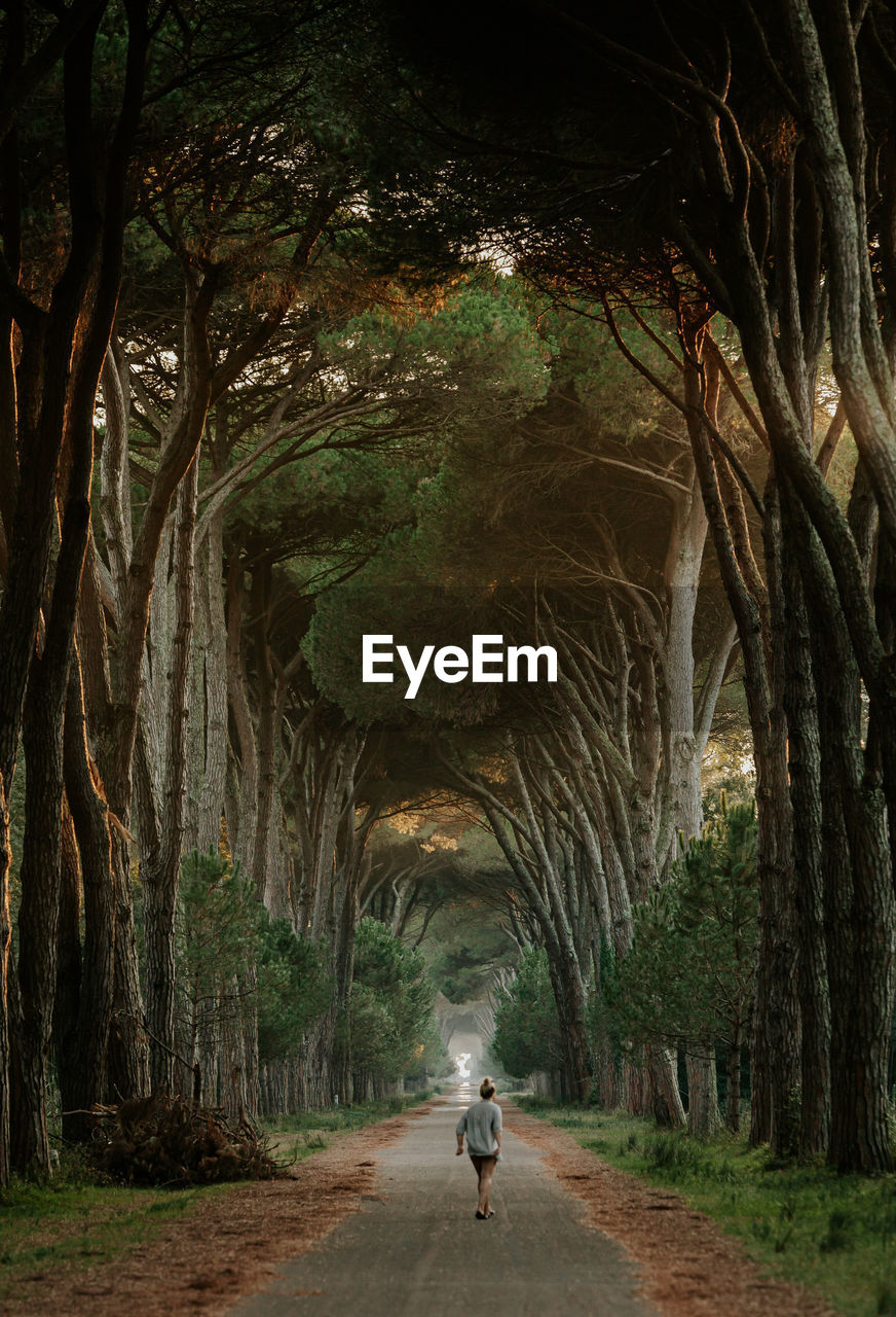 Rear view of woman walking on road amidst trees