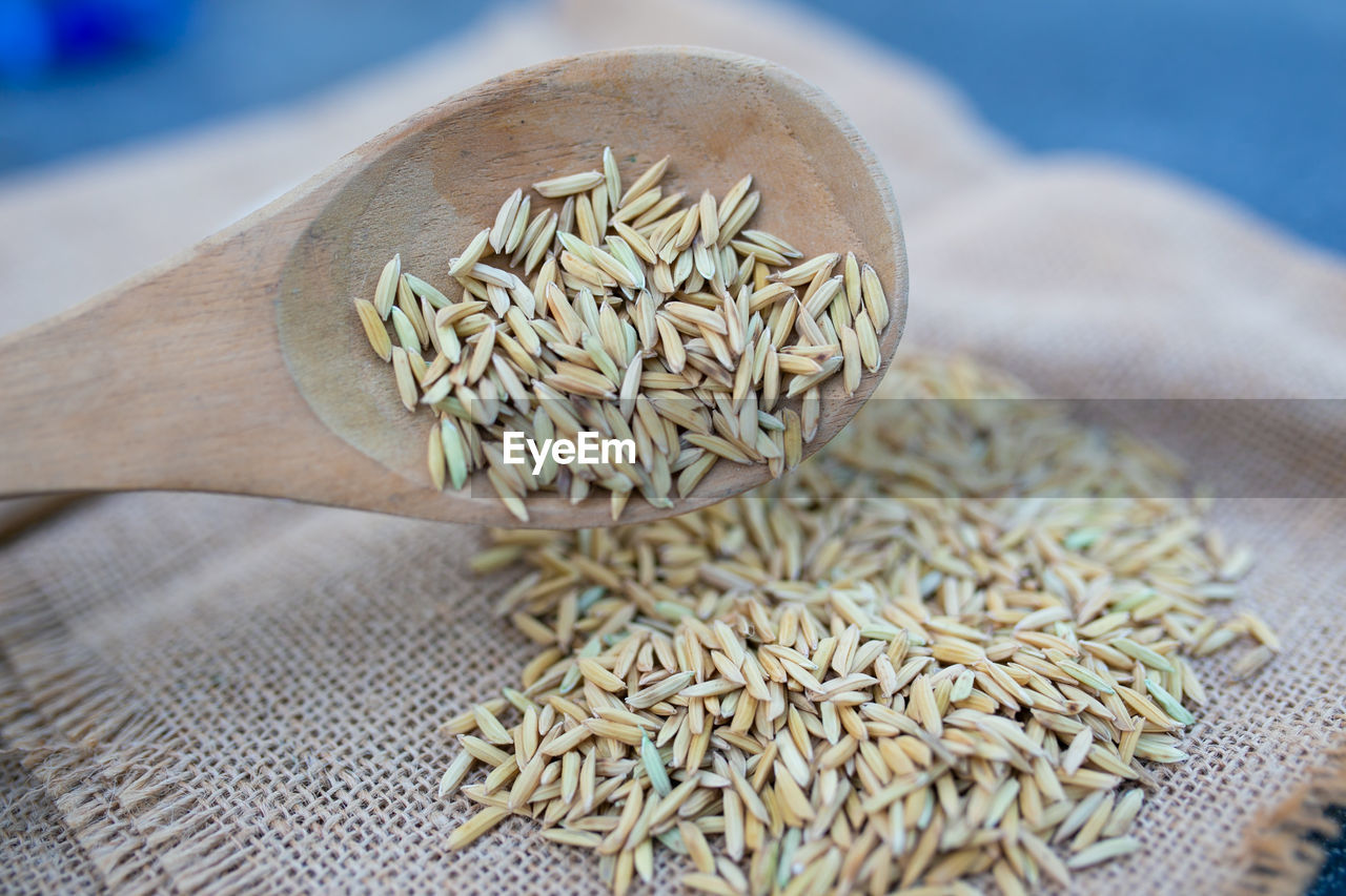 food and drink, food, wellbeing, healthy eating, plant, ingredient, freshness, food grain, raw food, seed, wood, dry, no people, cereal plant, indoors, close-up, still life, herb, organic, nature, crop, agriculture, spoon, kitchen utensil, produce, flower