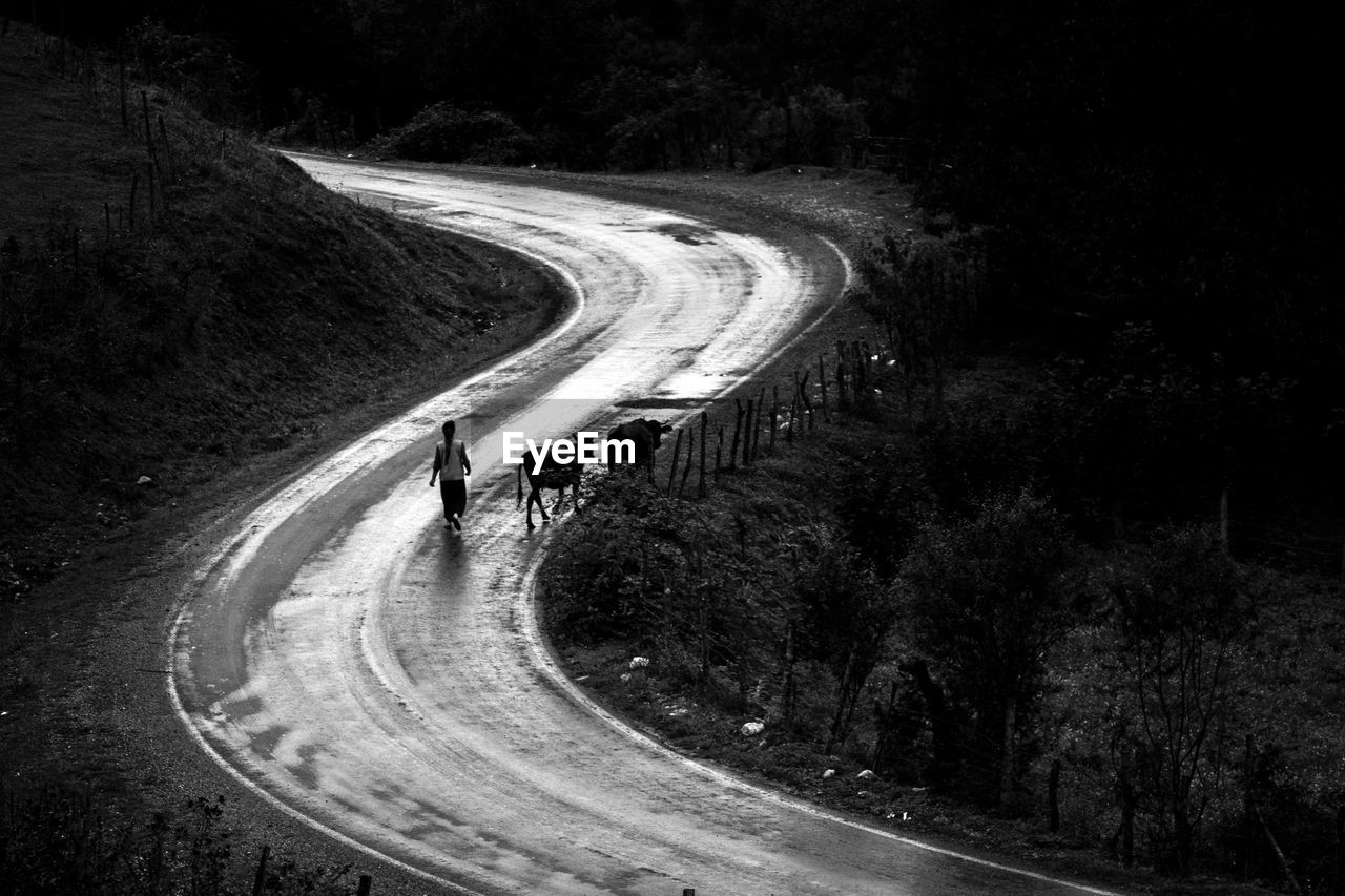 High angle view of woman walking on road