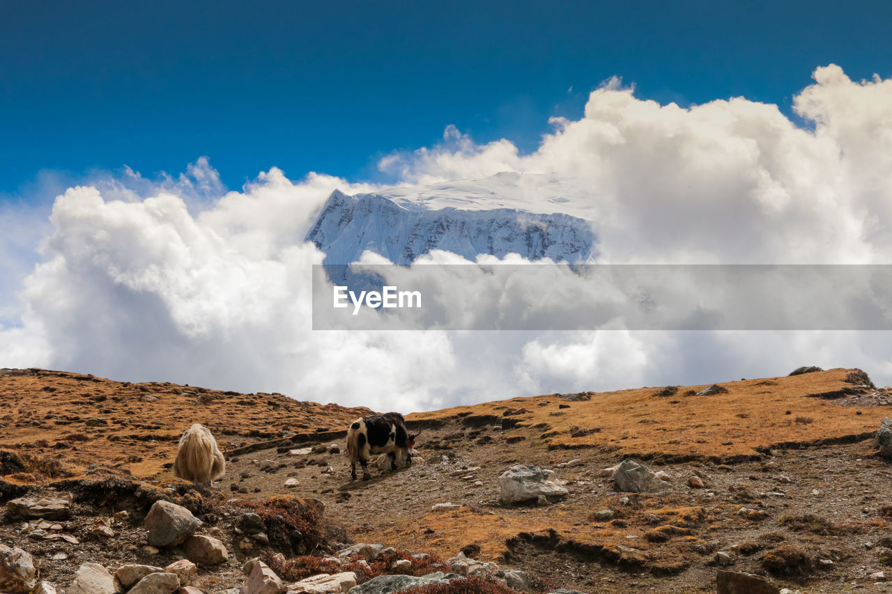 Scenic view of mountain by clouds