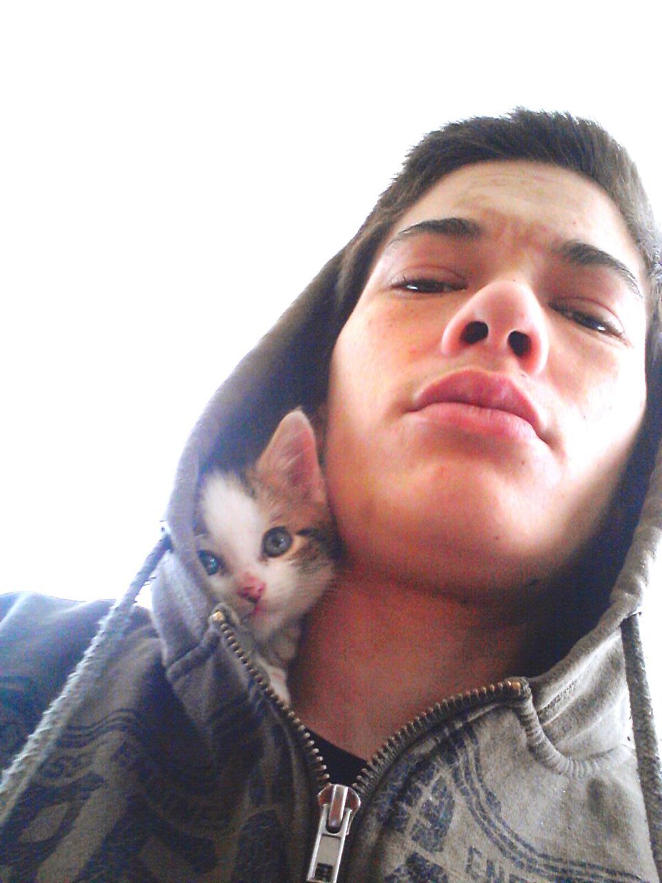 Low angle portrait of young man with kitten in hood against clear sky