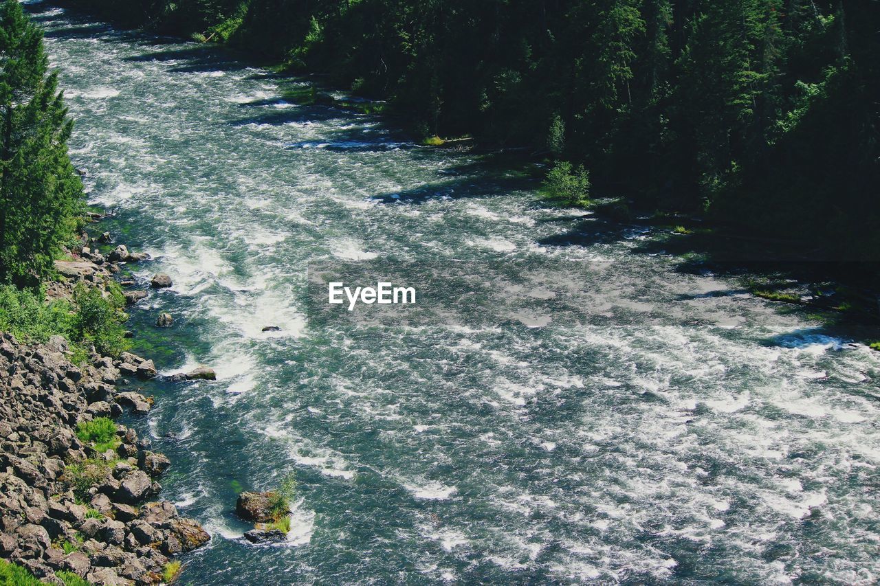 High angle view of waterfall in forest