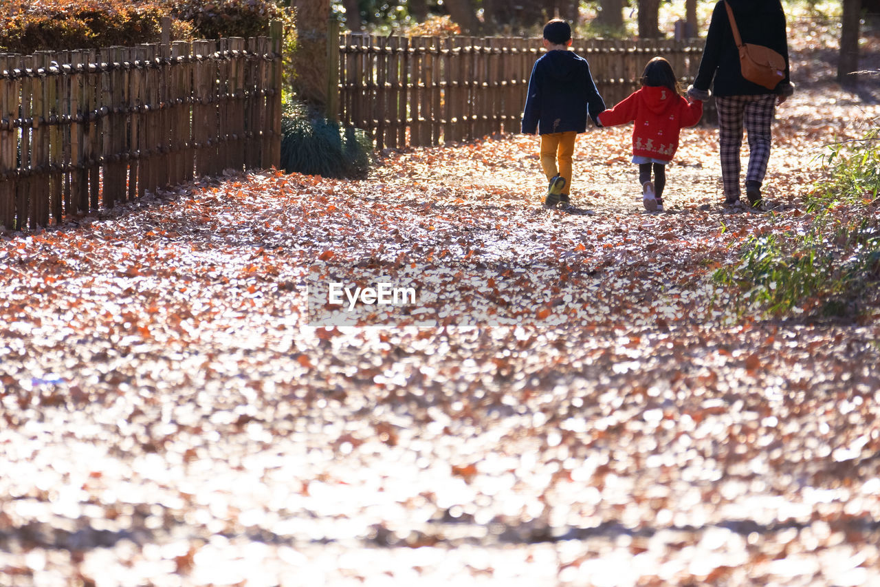 Rear view of people walking on autumn leaves