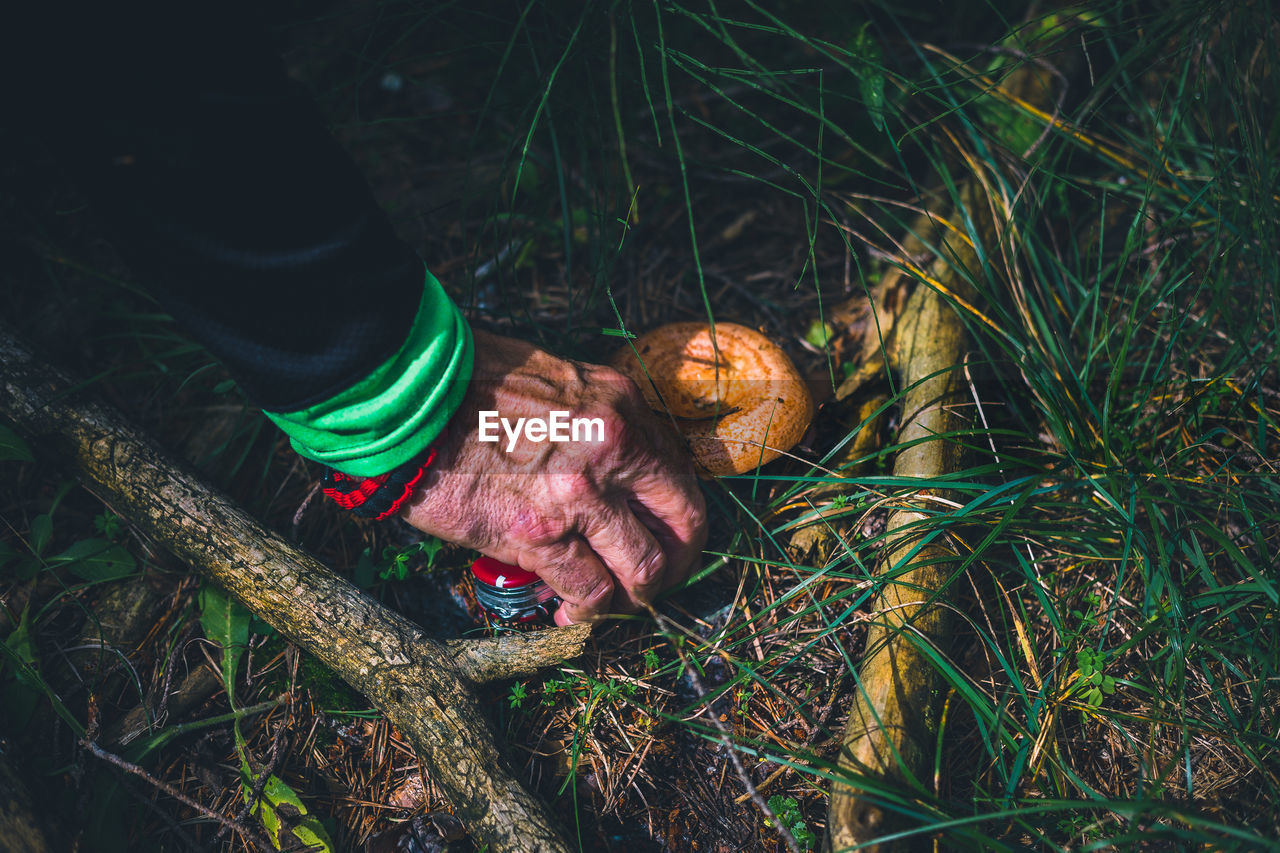 HIGH ANGLE VIEW OF PERSON ON MUSHROOM