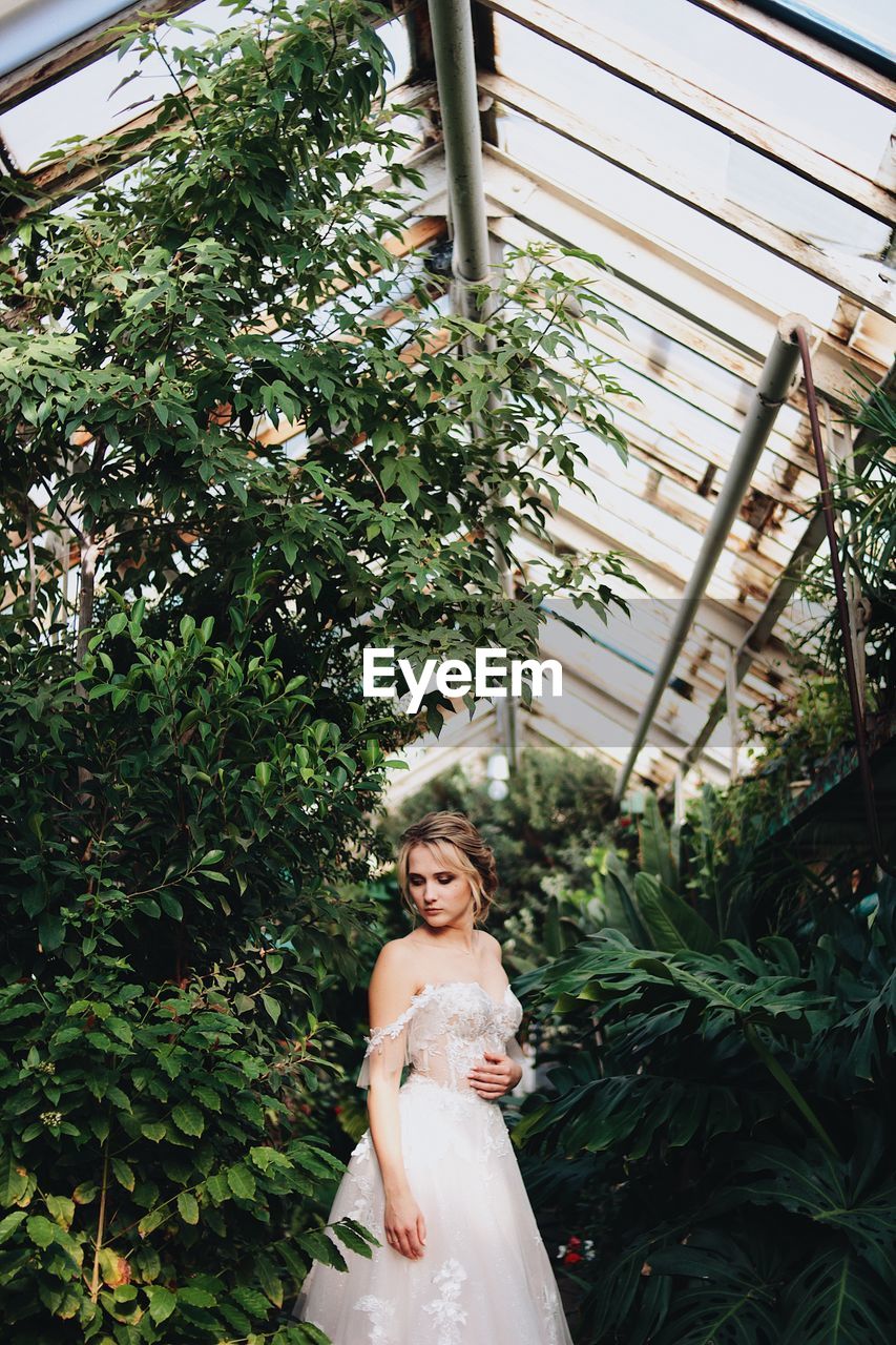 WOMAN STANDING ON TREE BY PLANTS