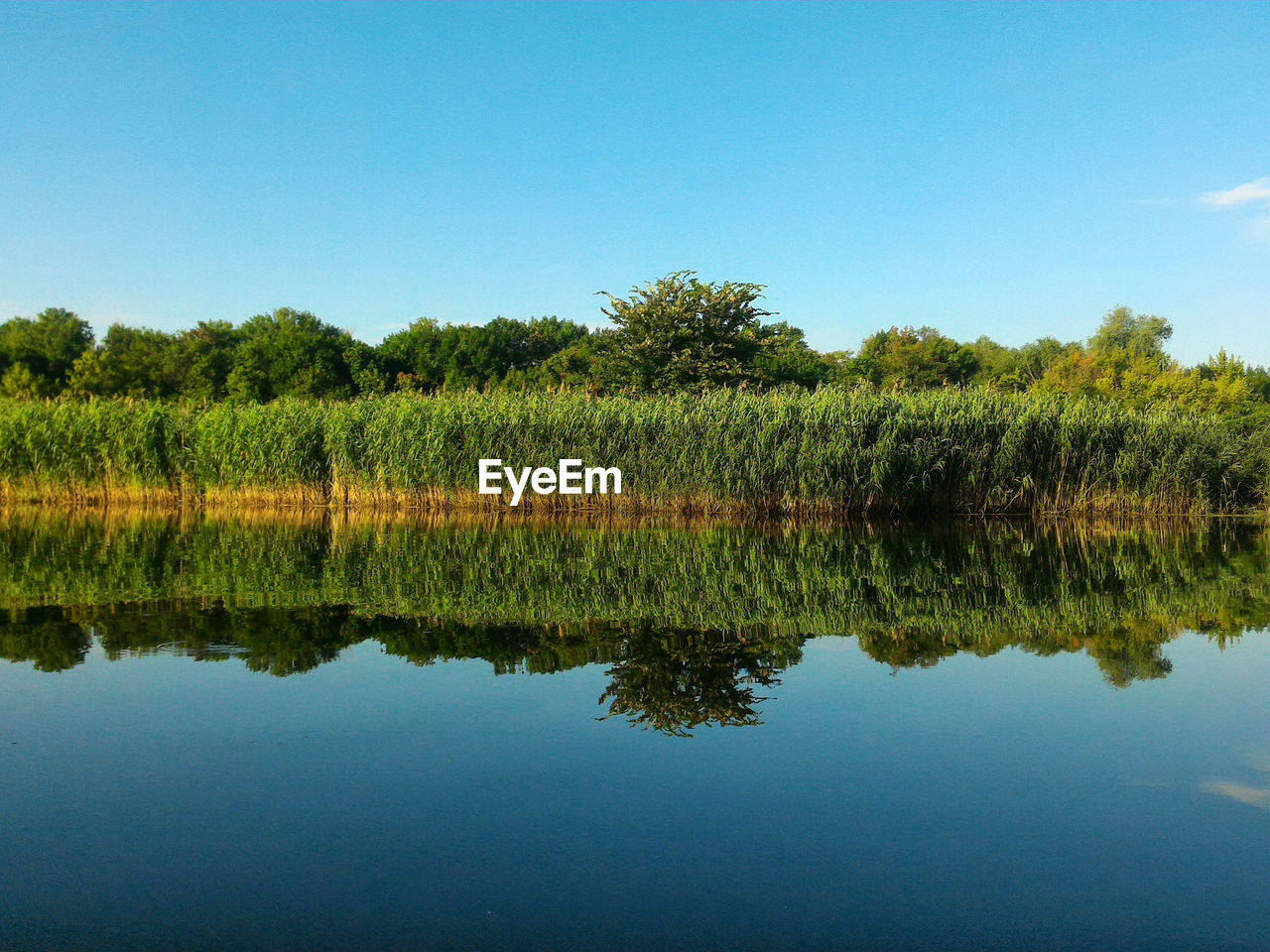 SCENIC VIEW OF LAKE AGAINST CLEAR SKY