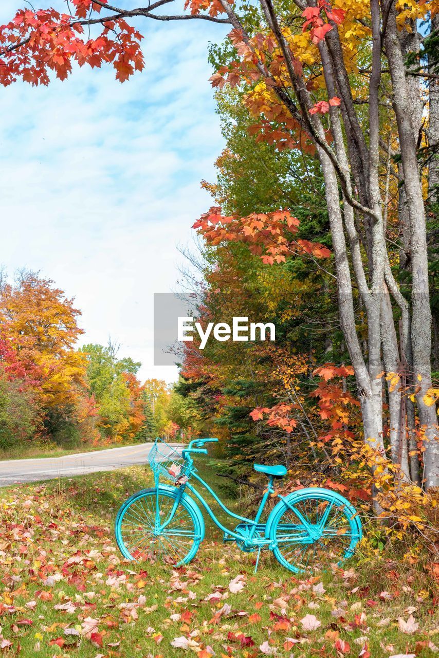 Bicycle by trees in park during autumn