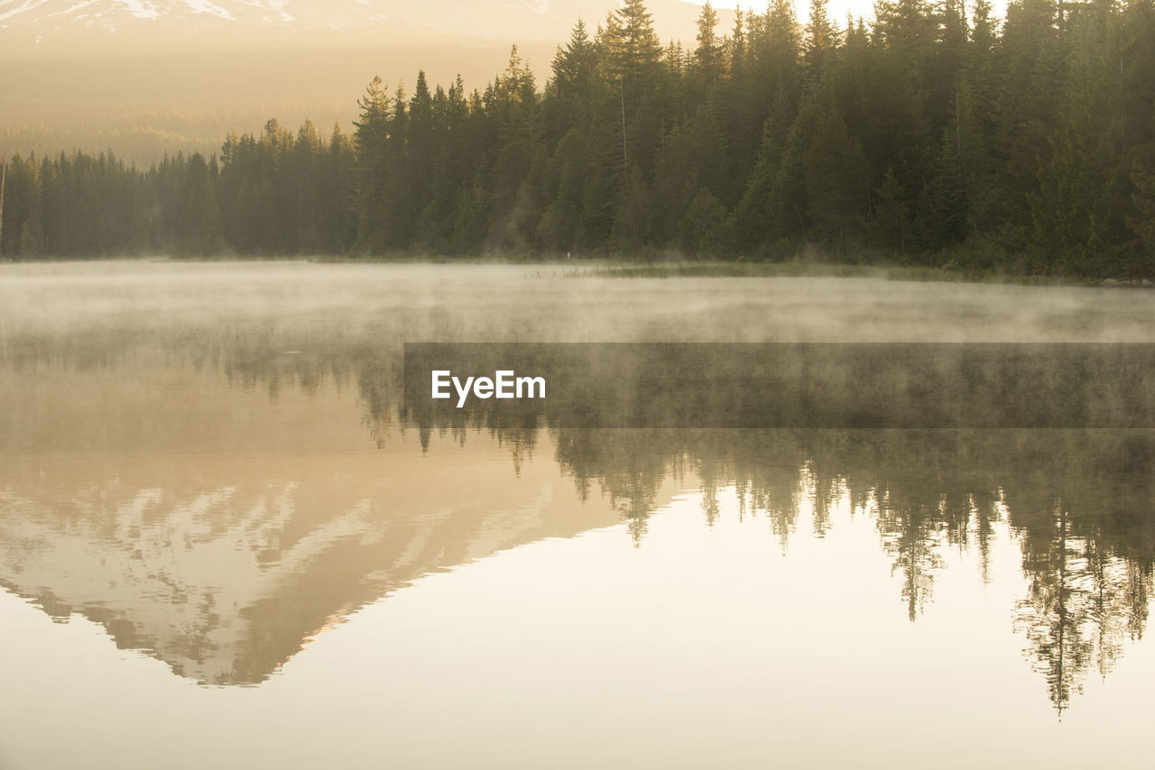 Tranquil view of trillium lake during foggy weather