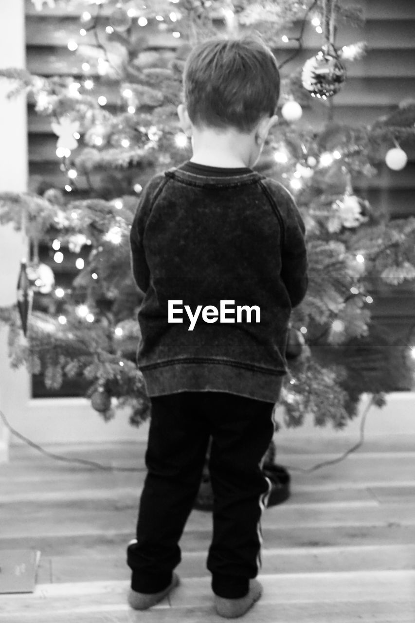 Rear view of boy standing in illuminated christmas tree
