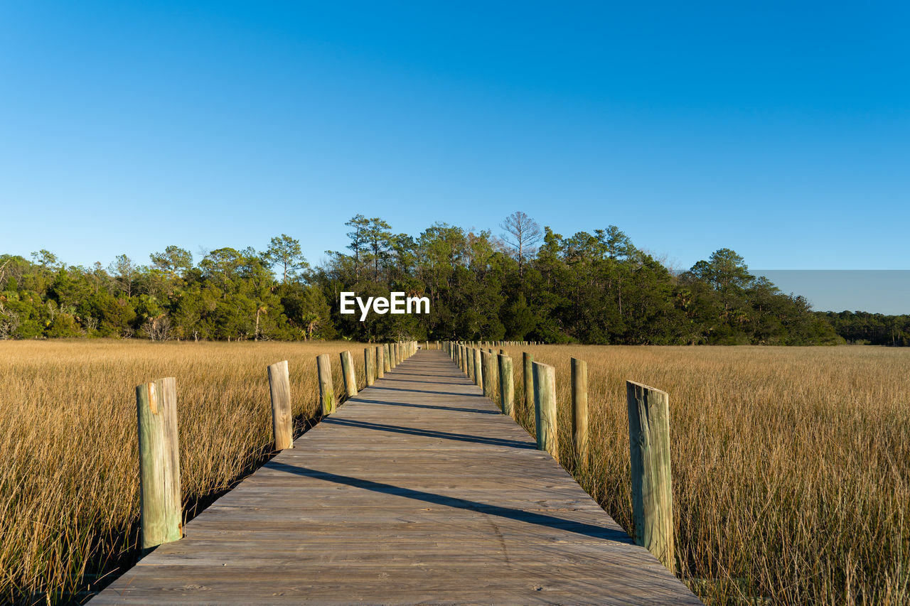 A raised wooden walking path cuts through marsh grass on a clear day