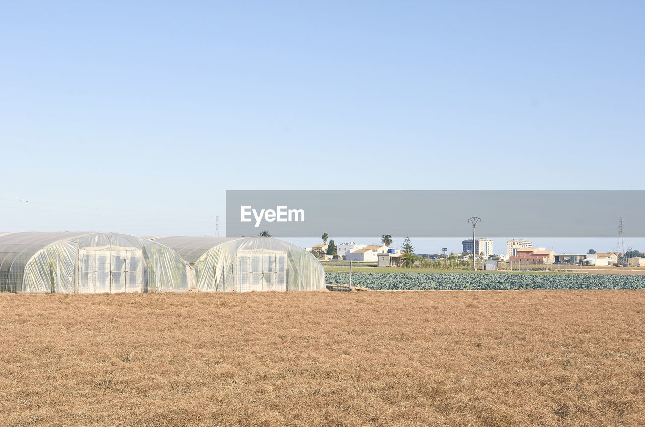 PANORAMIC VIEW OF FIELD AGAINST CLEAR SKY