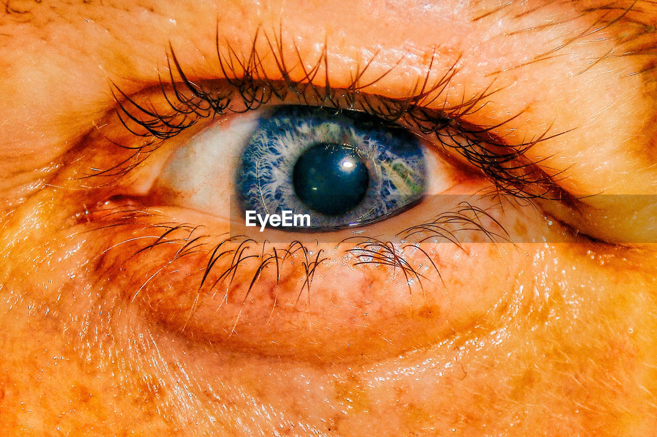 EXTREME CLOSE-UP PORTRAIT OF HUMAN EYE