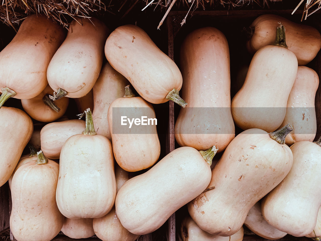 FULL FRAME SHOT OF CARROTS FOR SALE AT MARKET