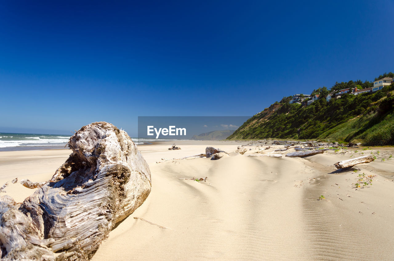 Driftwoods on sand at beach against clear sky