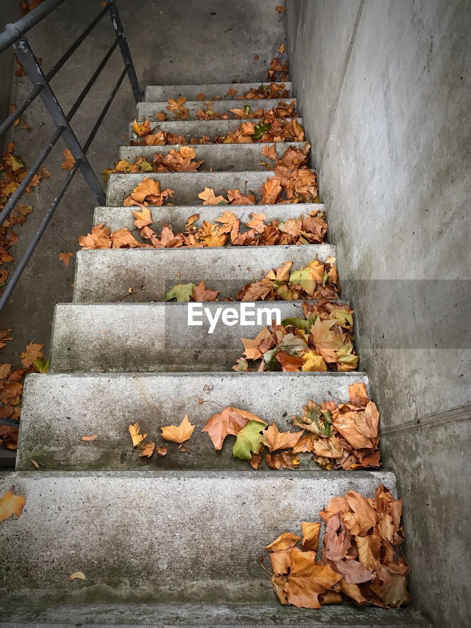 High angle view of autumn leaves on concrete steps