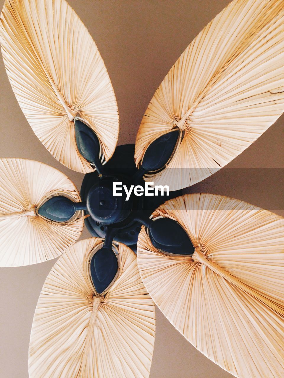 Eco style ceiling fan