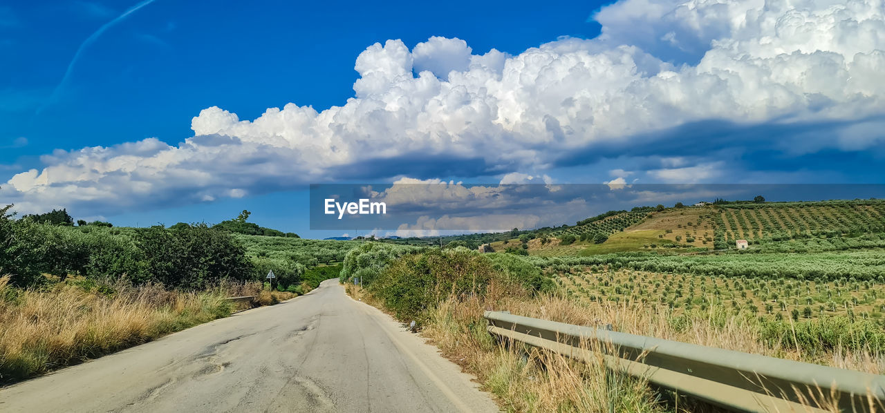 landscape, sky, cloud, environment, road, land, plant, nature, rural scene, field, transportation, scenics - nature, rural area, hill, horizon, the way forward, agriculture, blue, beauty in nature, travel, no people, diminishing perspective, grass, tree, outdoors, farm, vanishing point, crop, tranquility, dirt road, day, dirt, travel destinations, growth, non-urban scene, tranquil scene, sunlight, food and drink, green, tourism, plain, footpath, social issues, food, panoramic, cloudscape