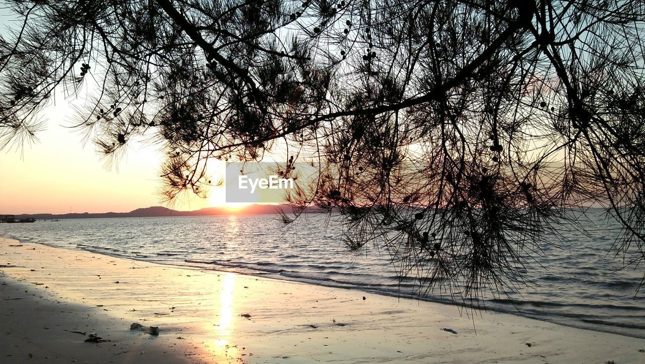 SCENIC VIEW OF BEACH DURING SUNSET