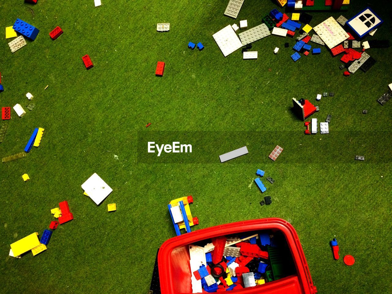 VIEW OF MULTI COLORED FLOWERS