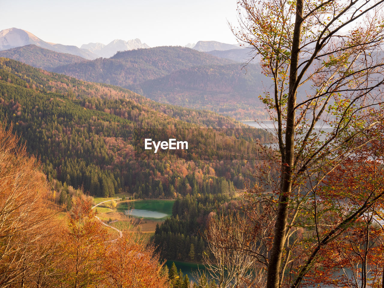 Scenic view of lake in forest during autumn