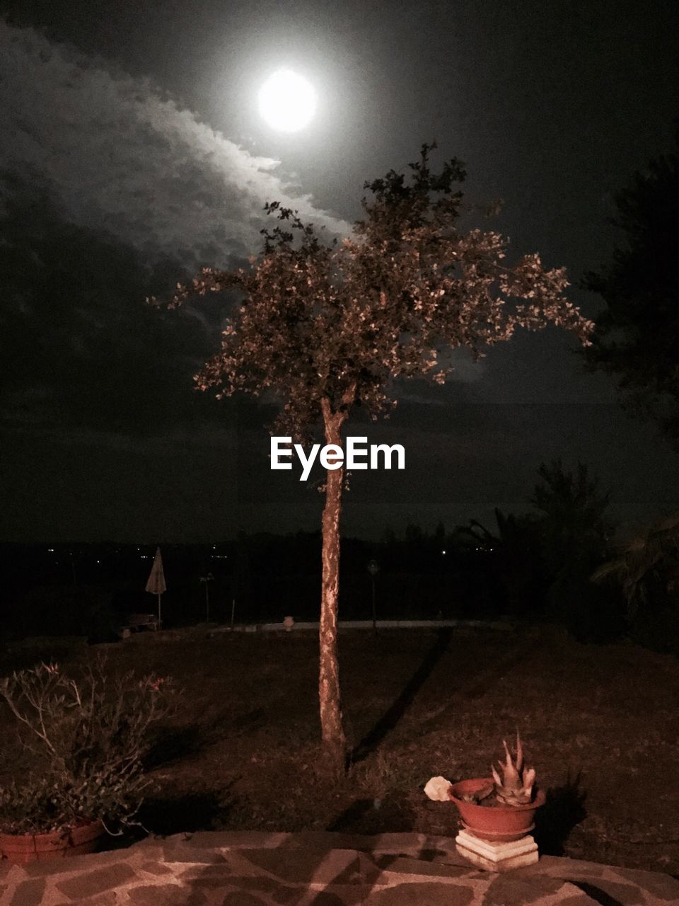 MAN IN ILLUMINATED TREE AGAINST SKY AT NIGHT