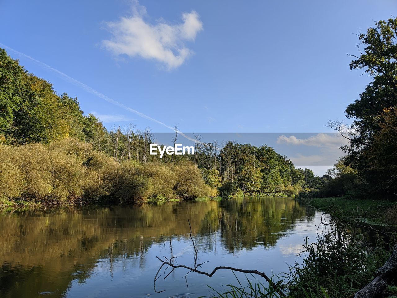 TREES BY LAKE AGAINST SKY