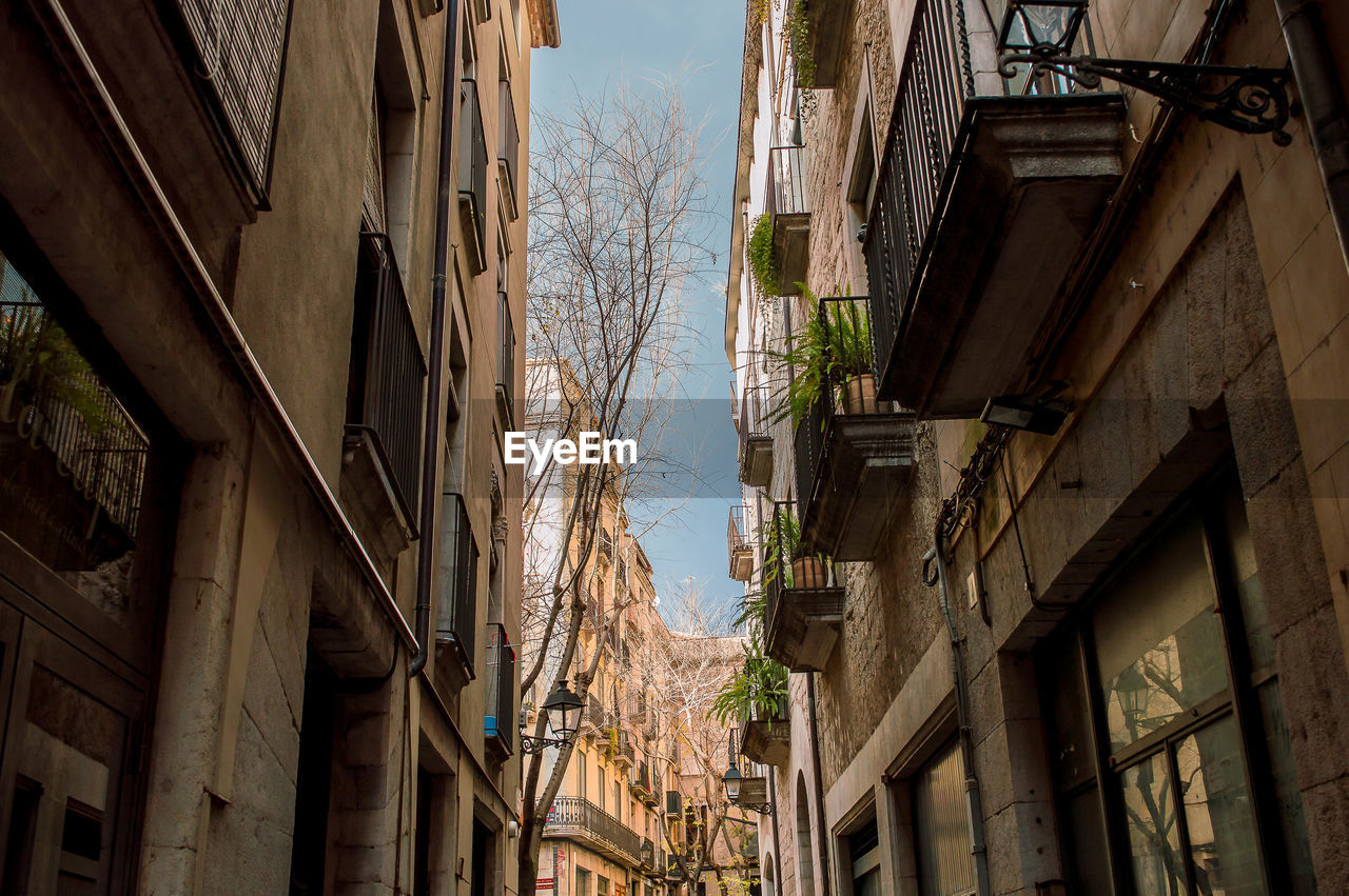 Low angle view of residential buildings