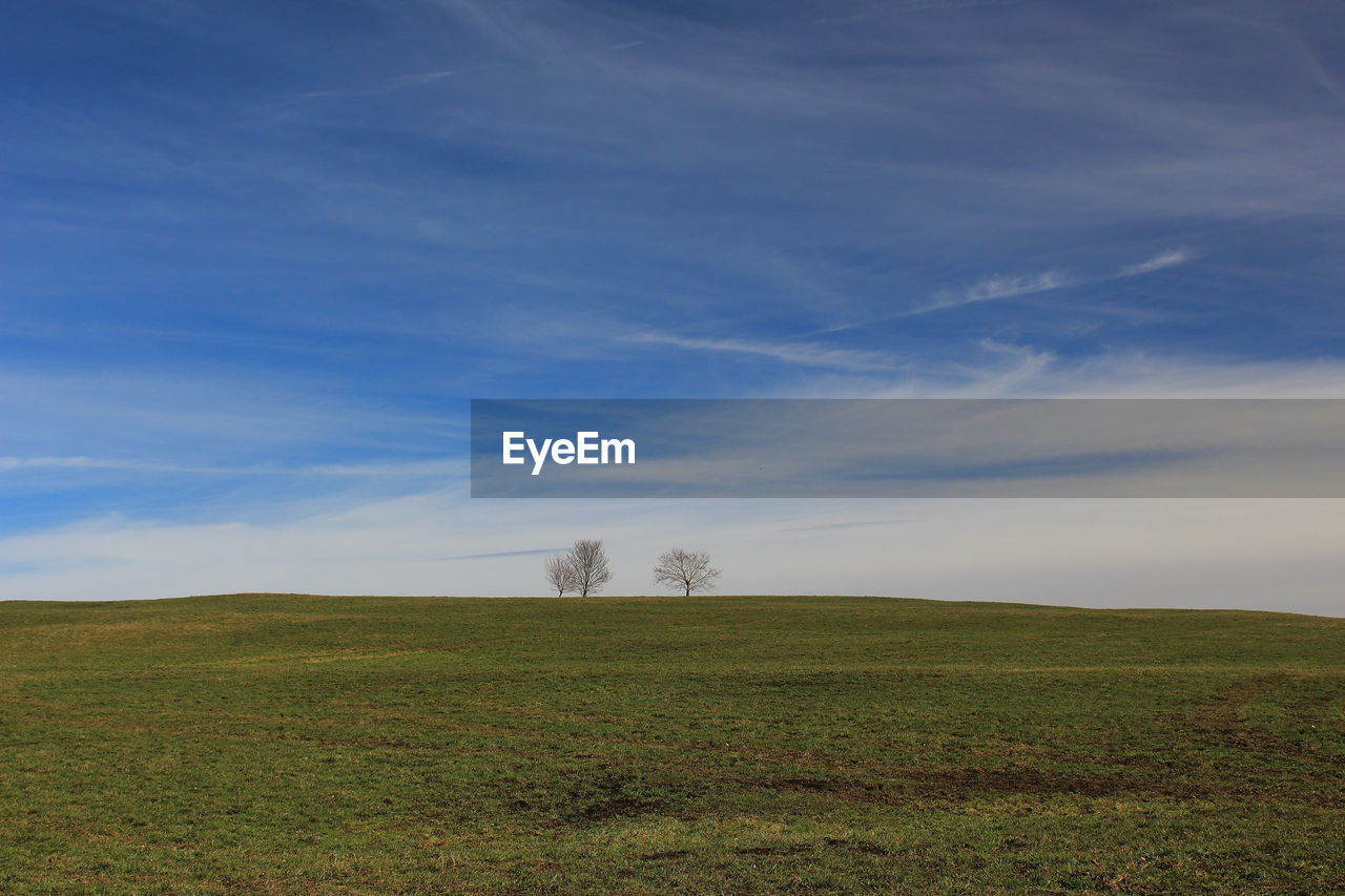 horizon, sky, plain, environment, hill, natural environment, grassland, prairie, landscape, grass, field, plant, cloud, nature, land, scenics - nature, steppe, beauty in nature, rural area, tranquility, tranquil scene, wind, no people, sunlight, morning, day, non-urban scene, blue, green, outdoors, rural scene, meadow, tree, plateau, growth, idyllic, agriculture, pasture, power generation, horizon over land, remote, dawn
