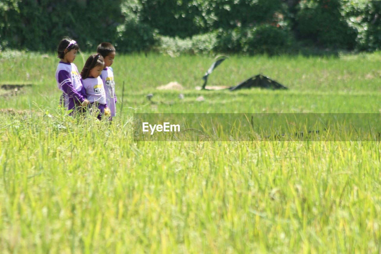 Siblings standing at rice paddy