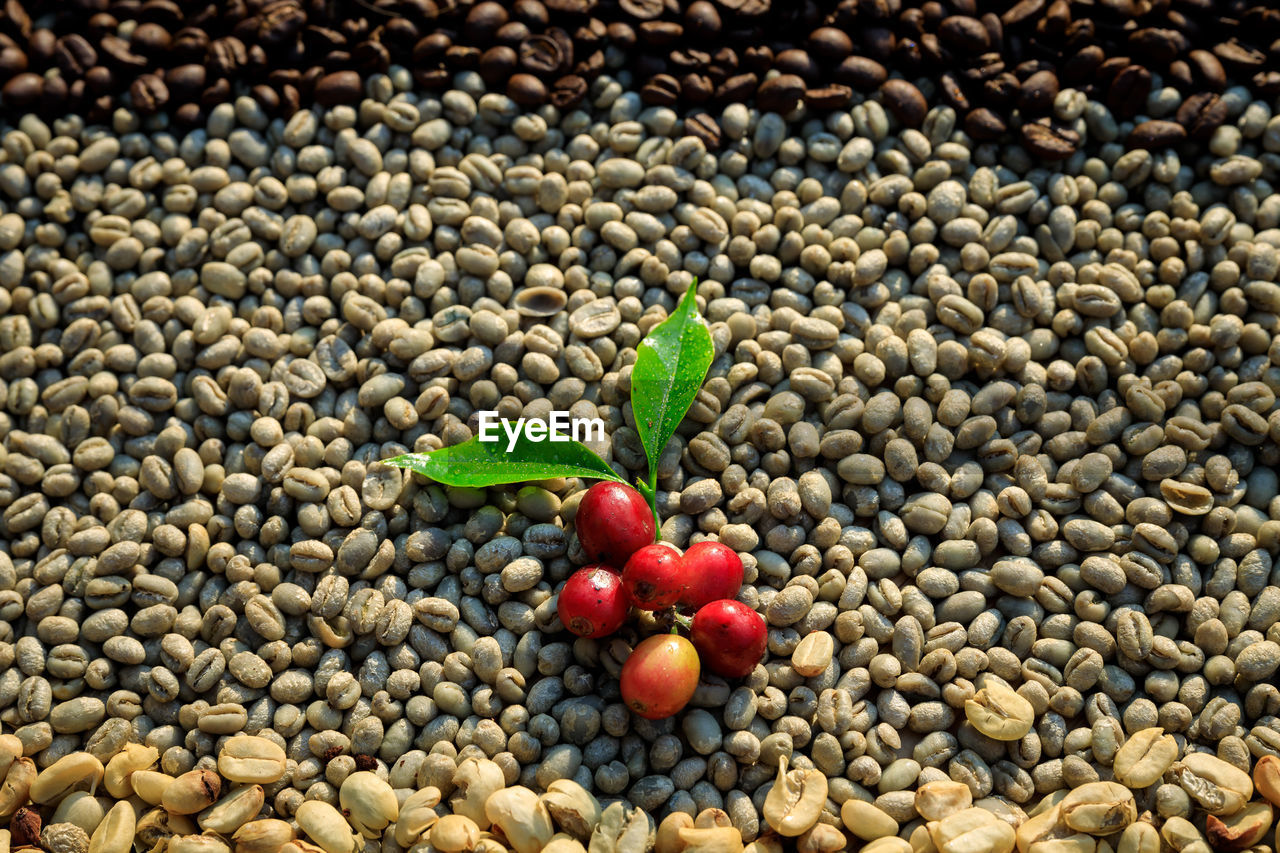 HIGH ANGLE VIEW OF FRUITS AND PEBBLES