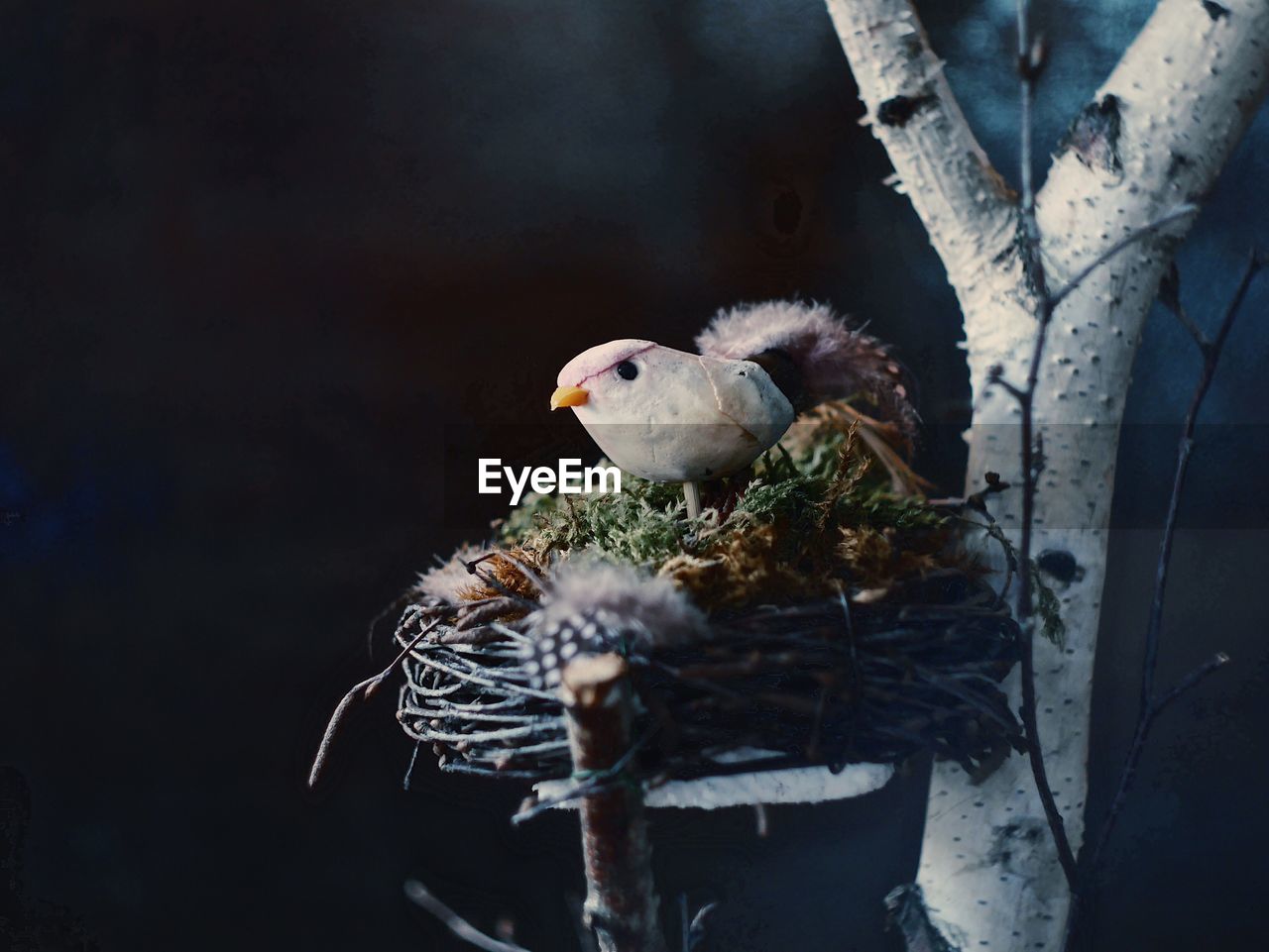 Artificial bird on nest at night