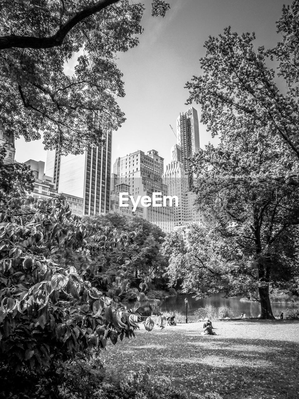 Low angle view of modern buildings seen from central park