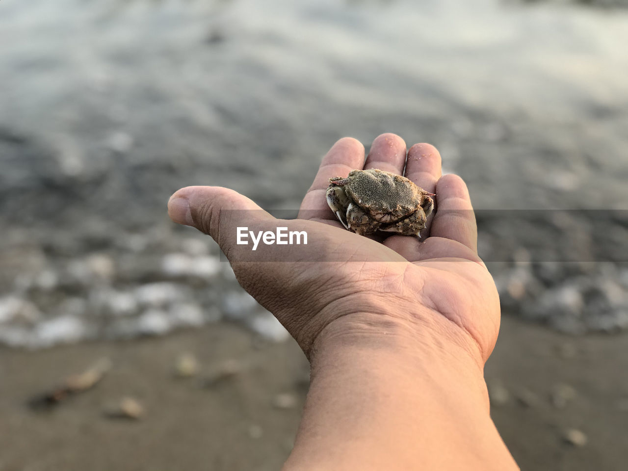 MIDSECTION OF HUMAN HAND HOLDING SEA