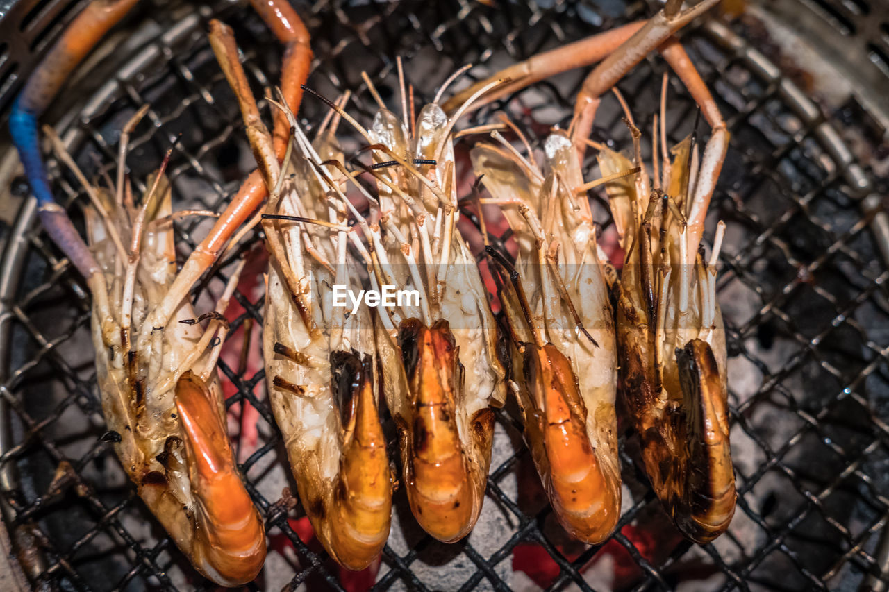 Close-up of seafood on barbecue grill