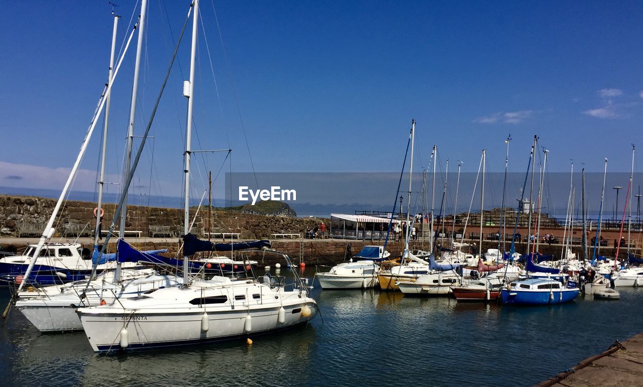 Sailboats moored in harbor