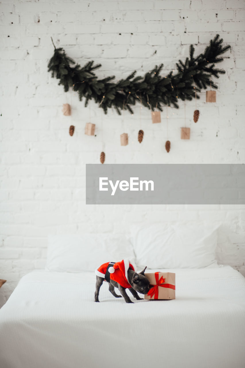 high angle view of christmas decorations on white wall