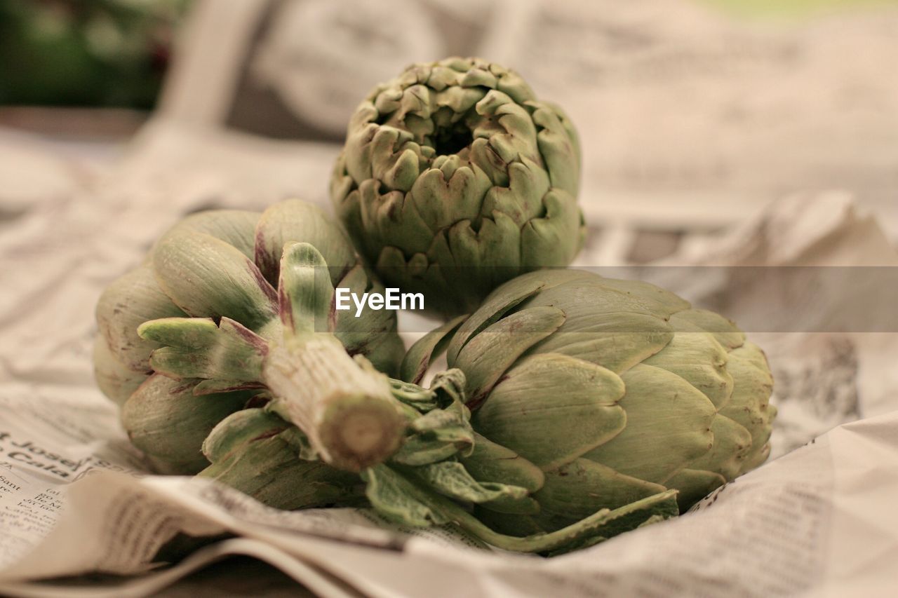 Close-up of artichokes