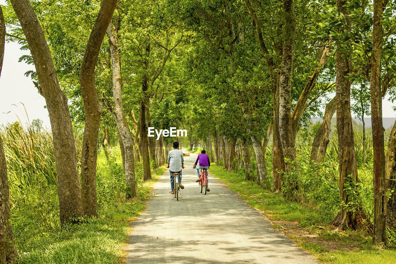 REAR VIEW OF PEOPLE WALKING ON FOOTPATH BY TREES