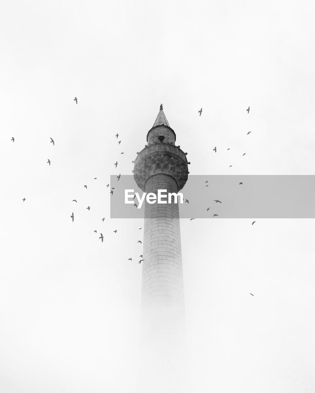 Low angle view of birds flying over tower in sky