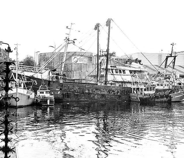 BOATS MOORED IN HARBOR