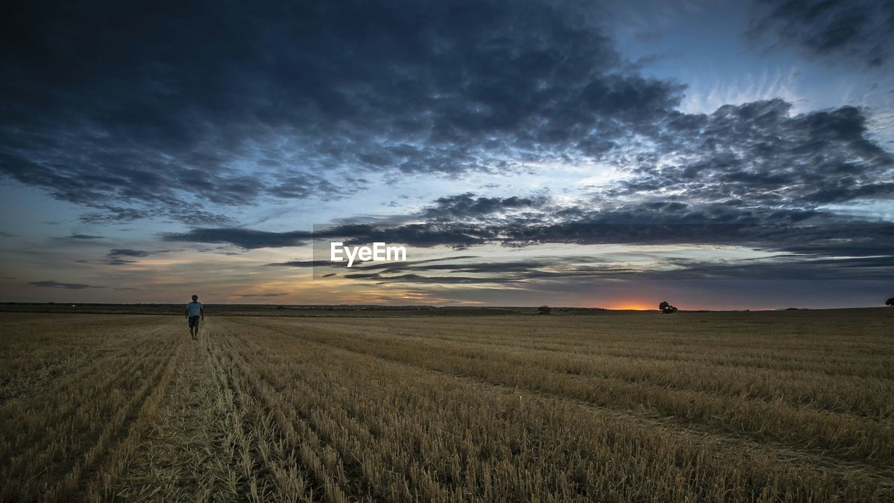 Farmer walking on field against sky during sunset