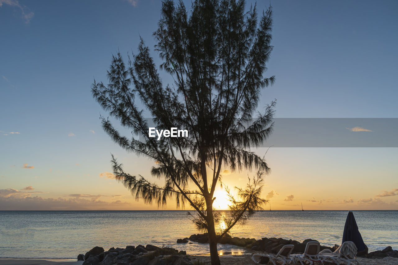 sky, water, sea, sunset, beach, beauty in nature, tree, nature, land, scenics - nature, horizon over water, horizon, shore, ocean, tranquility, tranquil scene, plant, coast, body of water, dusk, cloud, idyllic, no people, seascape, evening, travel destinations, sun, outdoors, silhouette, blue, sunlight, environment, tropical climate, coastline, rock, palm tree, travel, sand, landscape, holiday, non-urban scene, vacation