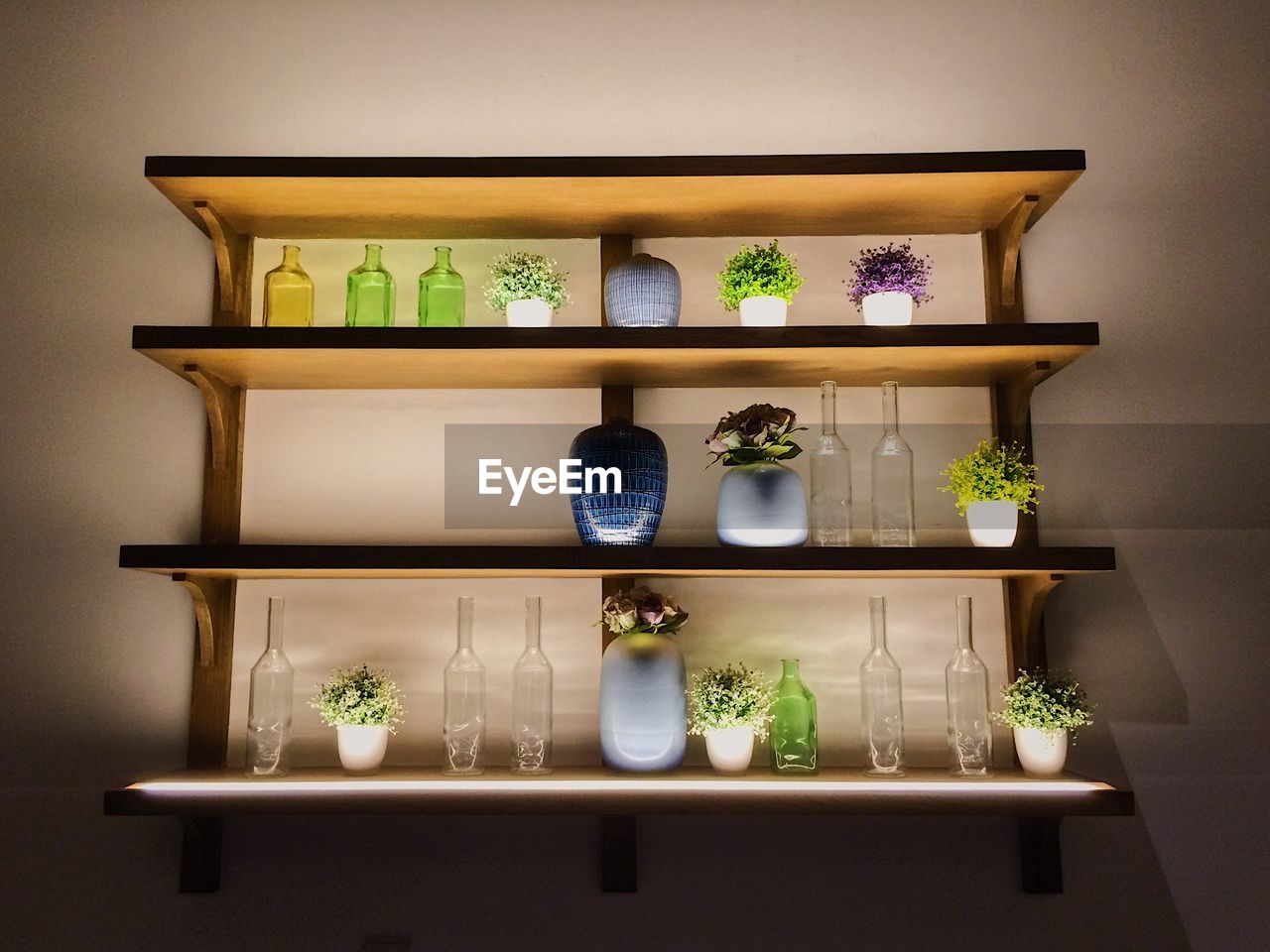 POTTED PLANTS IN FRONT OF KITCHEN