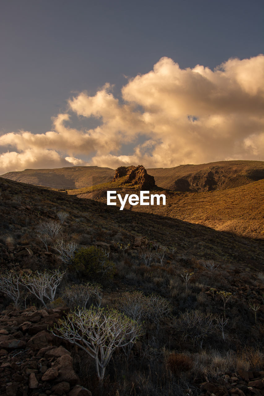 Scenic view of landscape against sky during sunset