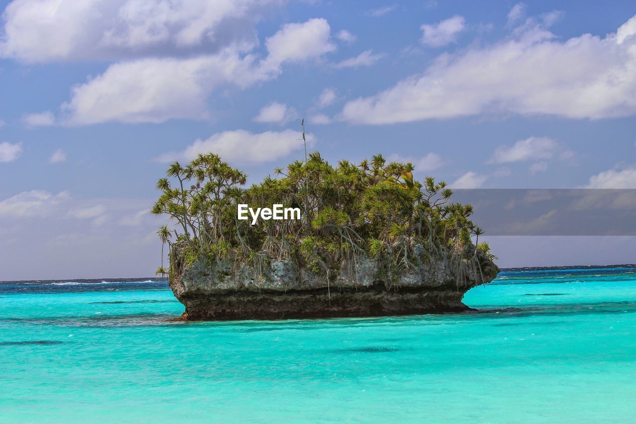 Trees growing on rock amidst sea against sky