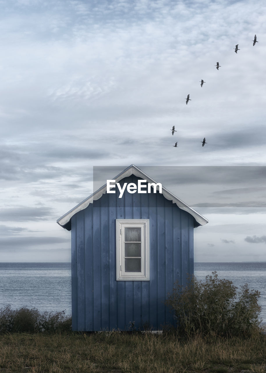 Seagull flying over sea against sky and beach hut
