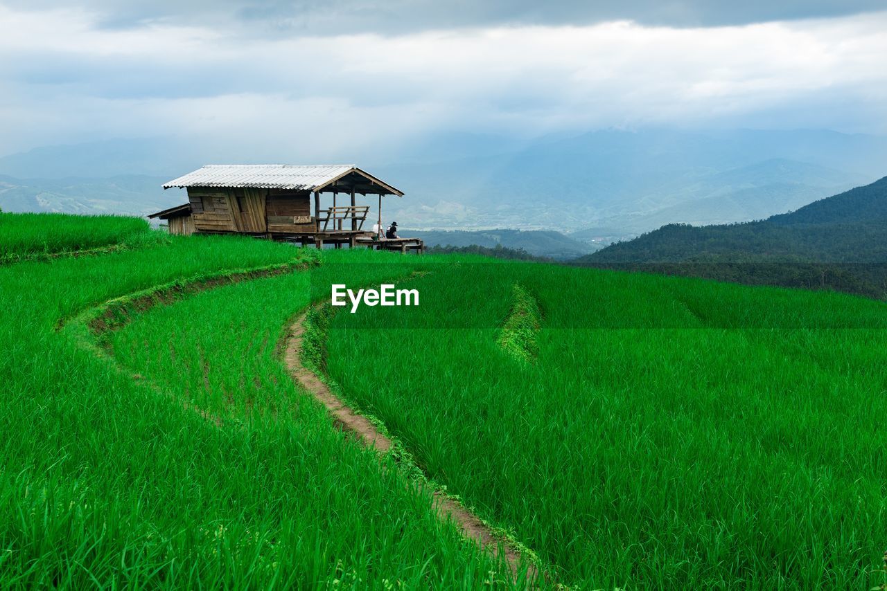 Scenic view of farm against sky