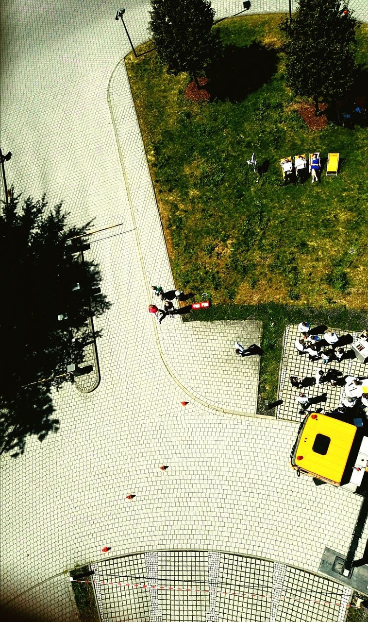 High angle view of trees and grass